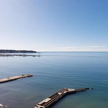 公寓 Les Pins Luxueuse Front De *